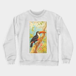 Toco Toucan Crewneck Sweatshirt